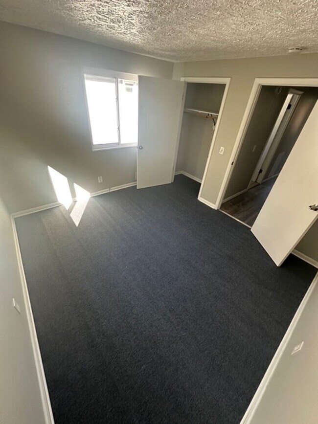 Building Photo - 31 Plover St