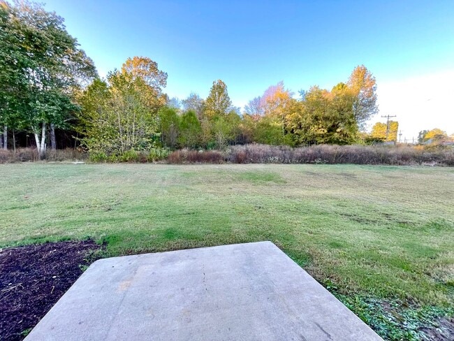 Building Photo - 3 Bedroom / 2 Bath In Pocahontas