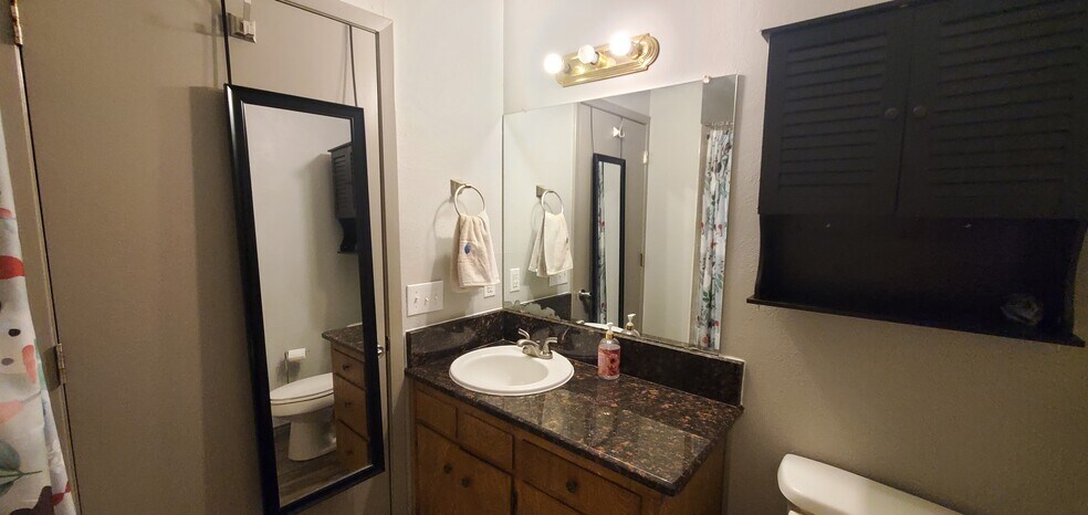 Hall bathroom - 4525 Sisk Rd