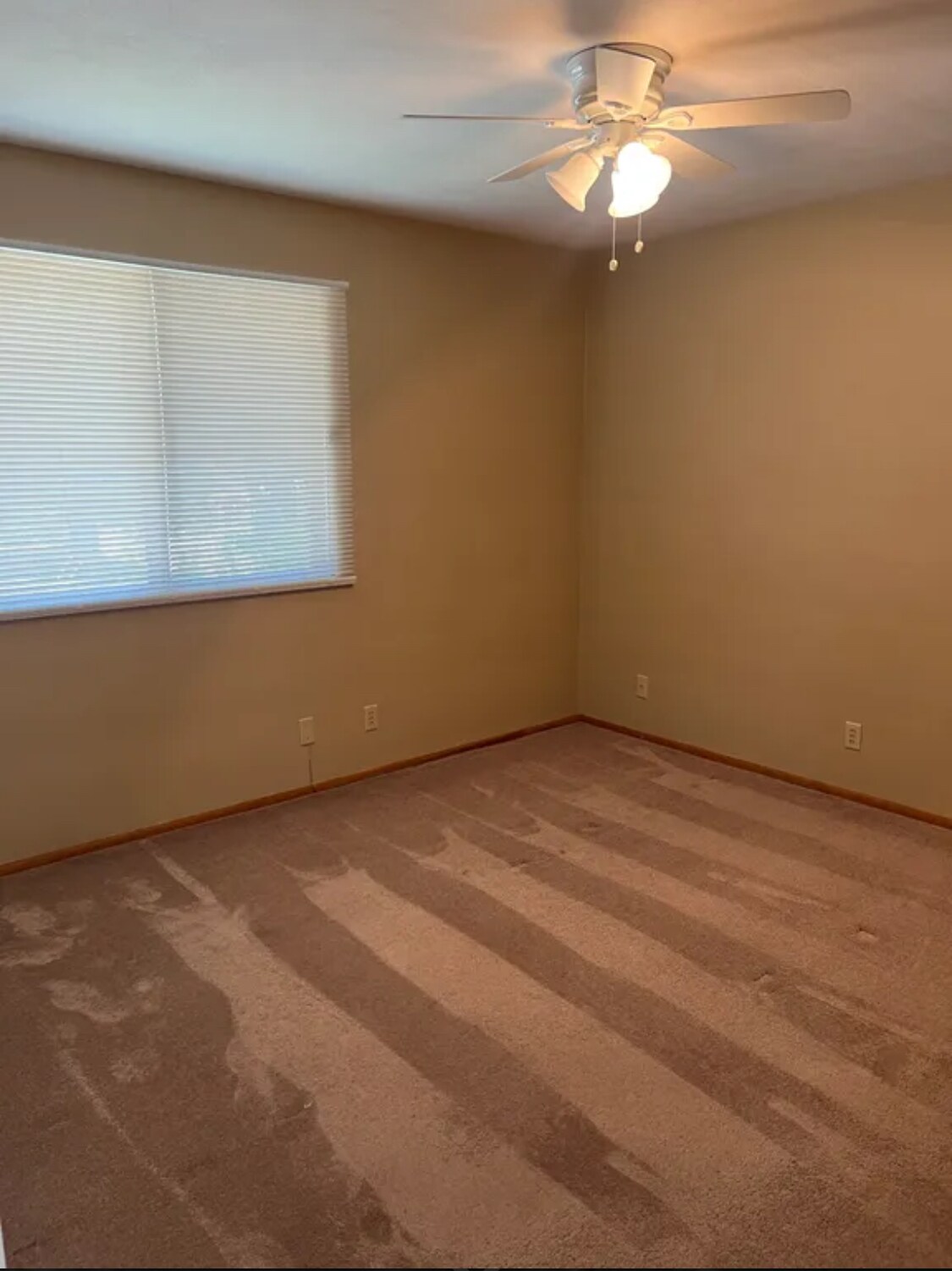 Building Photo - 1500 Jersey St