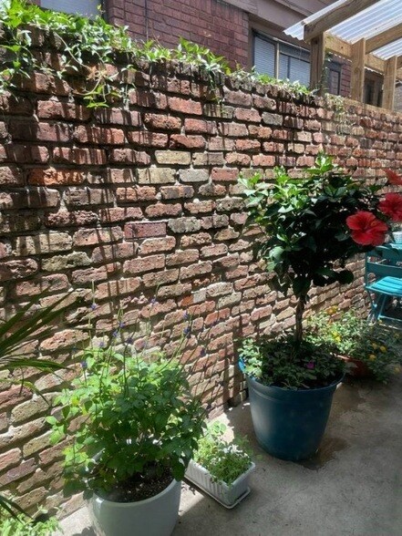 Building Photo - 1909 Brun St