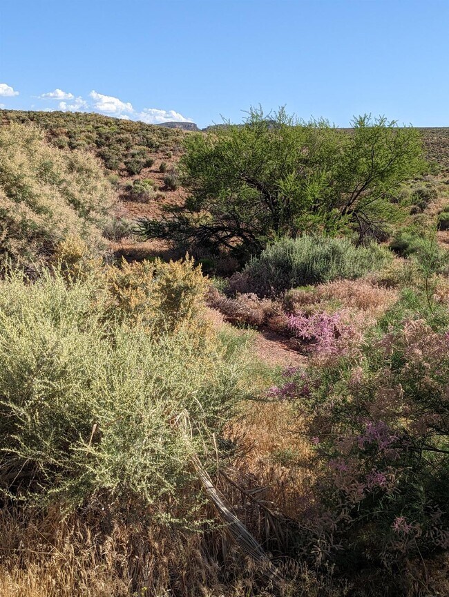 Building Photo - Azalea Townhome Poolside Living 3 Bed 2.5 Bath Smart Home - Looking for 2 Female Roommates