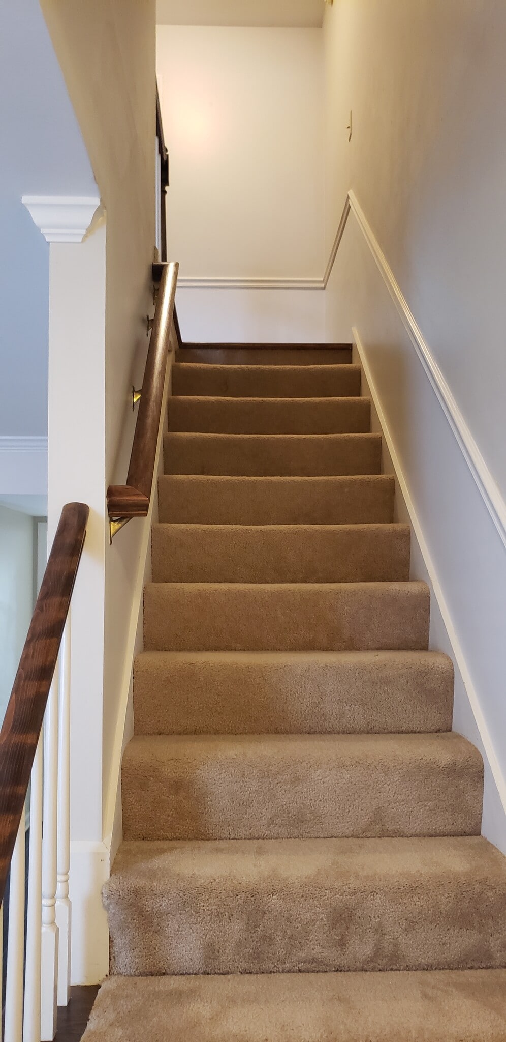 The stairs are the only carpeting for safety and abated noise. - 1205 Brentwood Pt