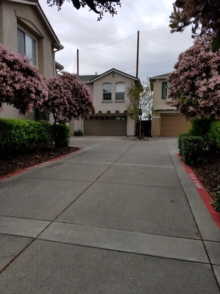 Driveway - 1505 Hermocilla Way