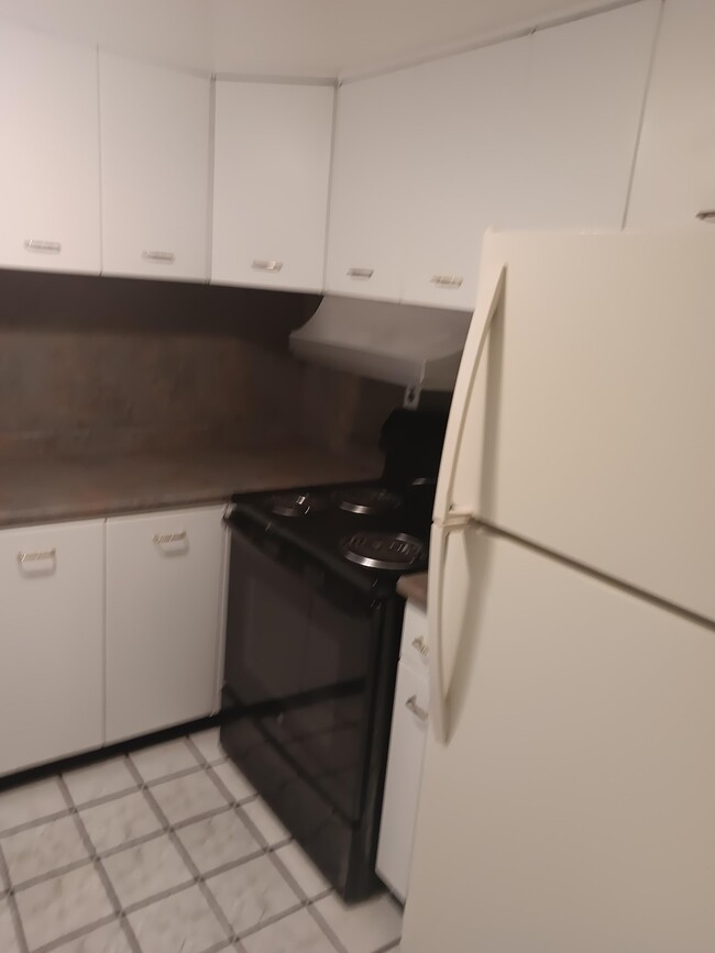 Kitchen (Stove and Refrigerator) - 101 Mulberry St