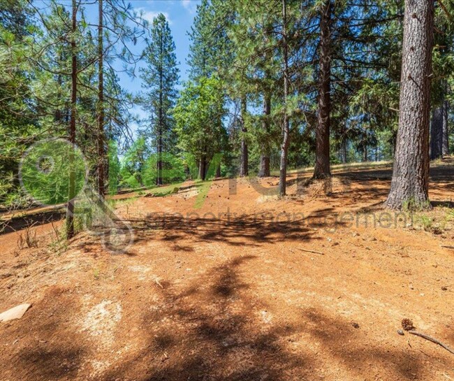 Building Photo - 5374 Porter Ranch Rd