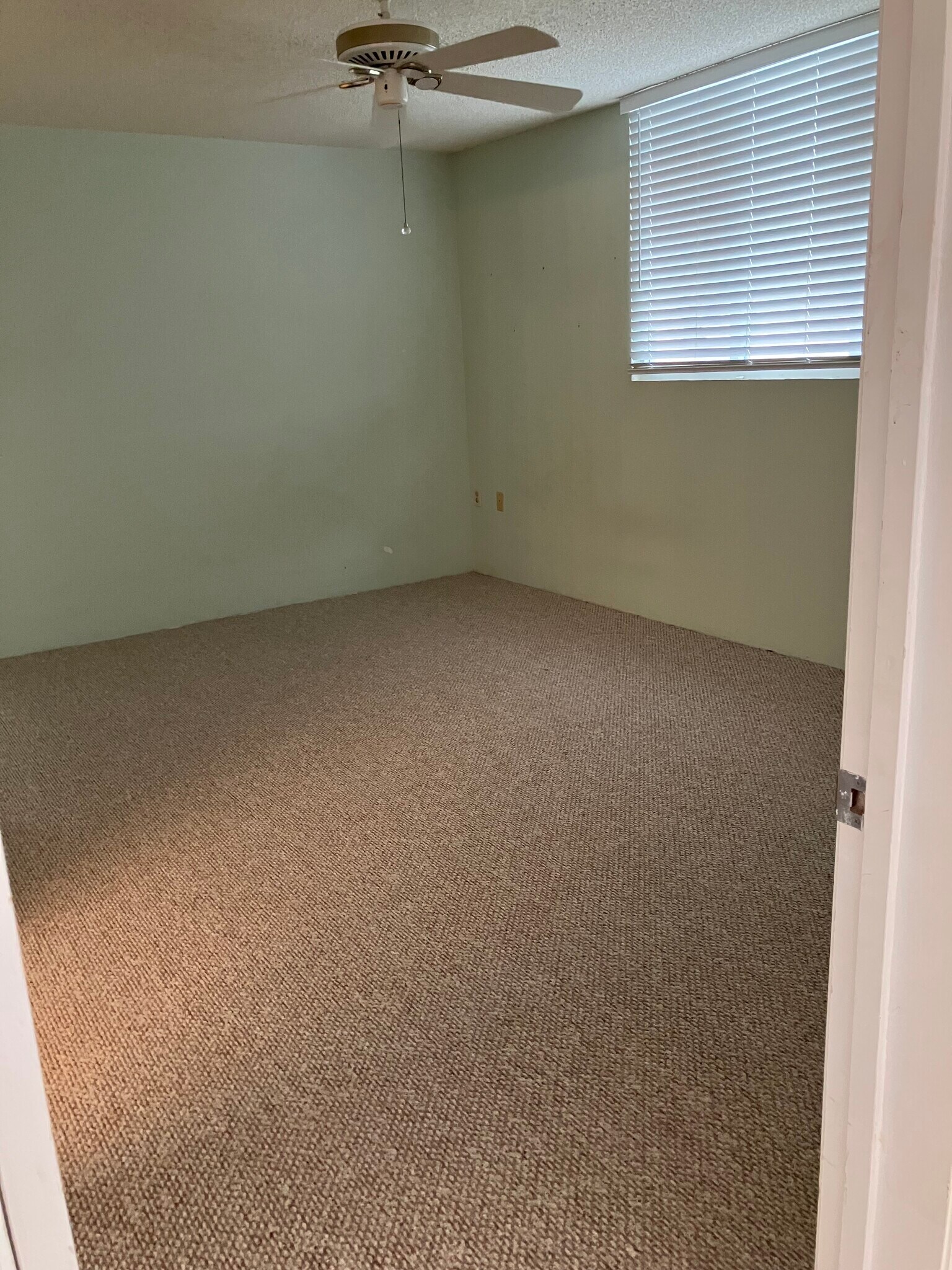 New carpets in both bedrooms - 3930 S Roosevelt Blvd