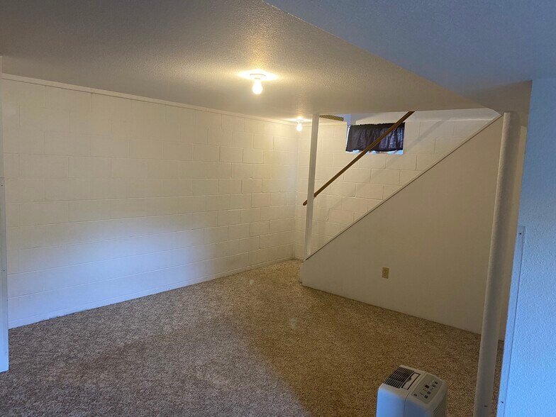 Fully finished basement doubling the square footage - 1018 W 10th St