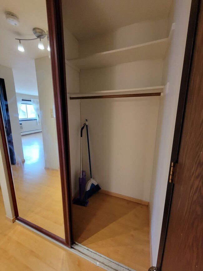 Building Photo - Newly Updated 1 Br/1 Ba Condo w/Hdwd Flrs, SS Appl, AC, Off-St Parking in Uptown Mpls near Wedge ...