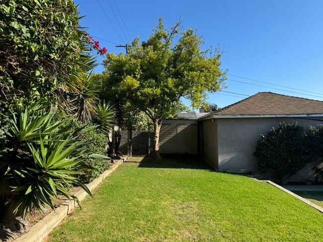 yard, shed, fruit tree - 8026 Chase Ave