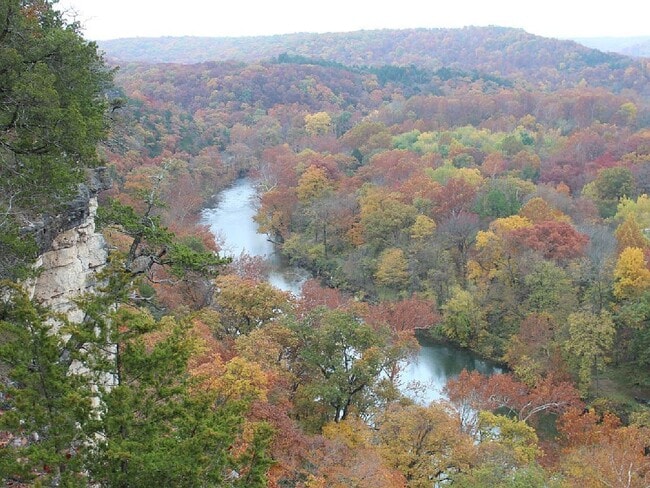 Building Photo - Private Access to the Big Piney River