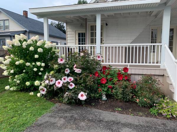 Primary Photo - 1665 Central Ave