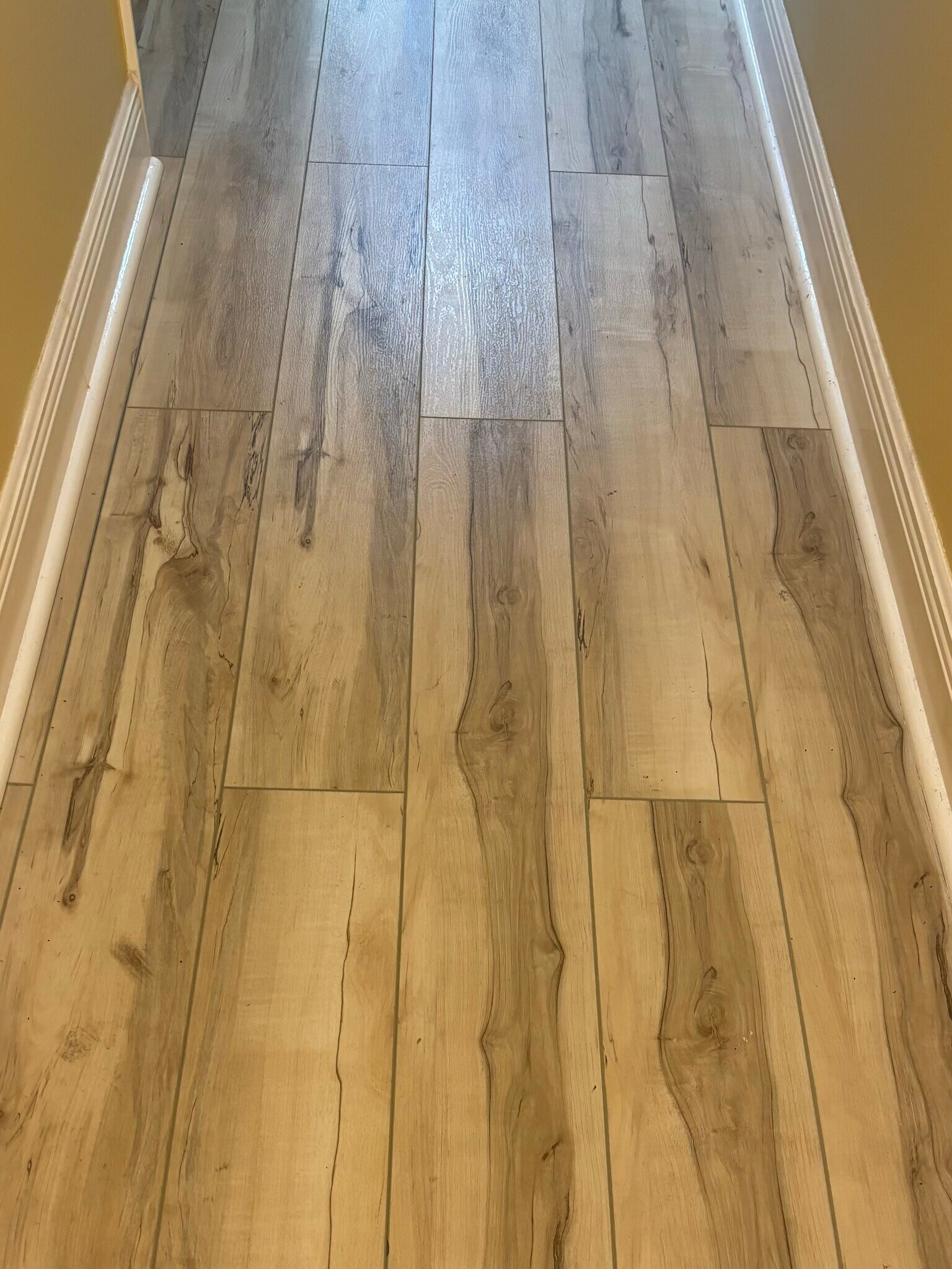 Hallway - 151 Calhoun Ave