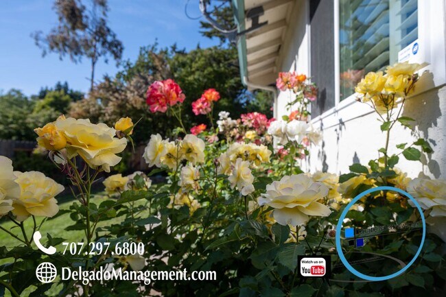 Building Photo - Benicia Southampton Hills! Gorgeous four b...