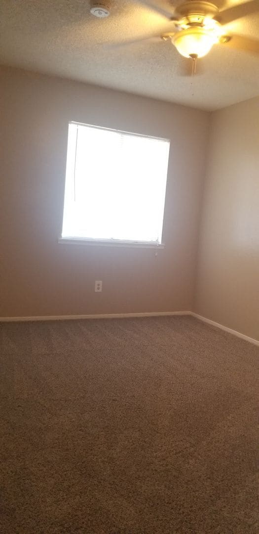 Building Photo - 3701 Halford Ct