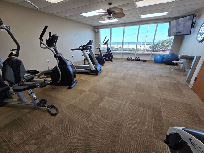 Building Photo - DOLPHIN RUN CONDOMINIUM