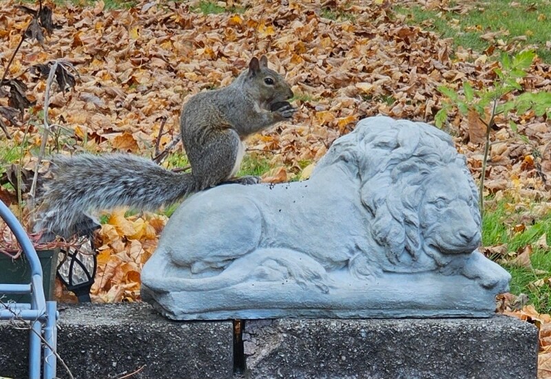 Building Photo - 717 Squires Ave