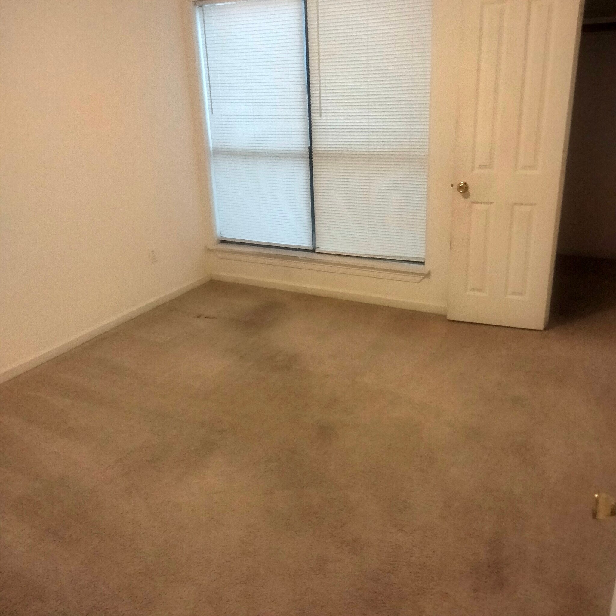 Building Photo - 1466 Sharlo Ave