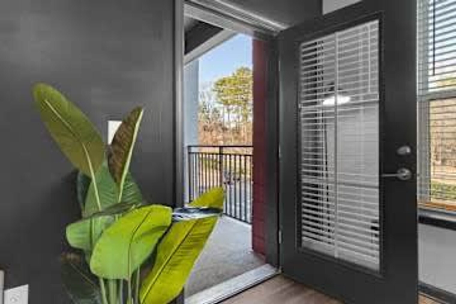 Building Photo - 1540 Dunn Rd