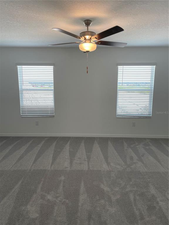 Building Photo - 32077 Powderpuff Mimosa Dr