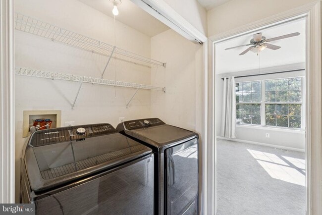 Building Photo - 1185 Cypress Tree Pl