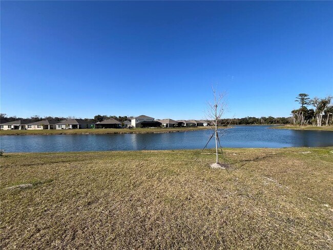 Building Photo - 2219 Lake Preserve Cir