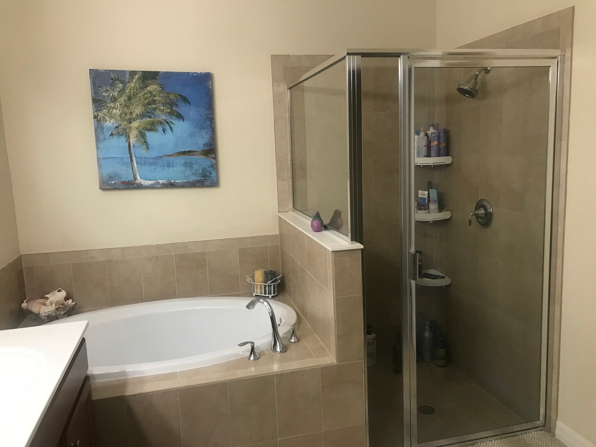 Master Bathroom w/ Shower and Tub - 10510 Yorkstone Dr