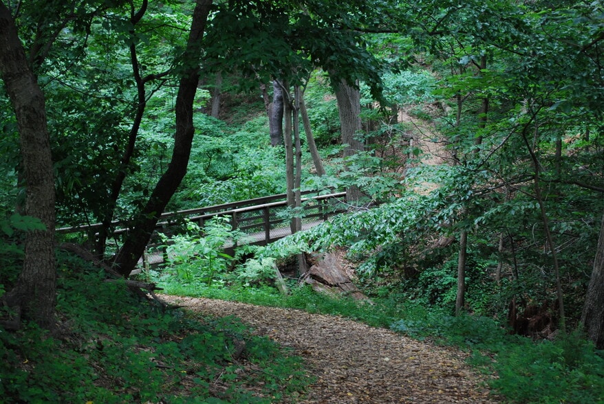 Nature trail around property - 5901 Mt Eagle Dr