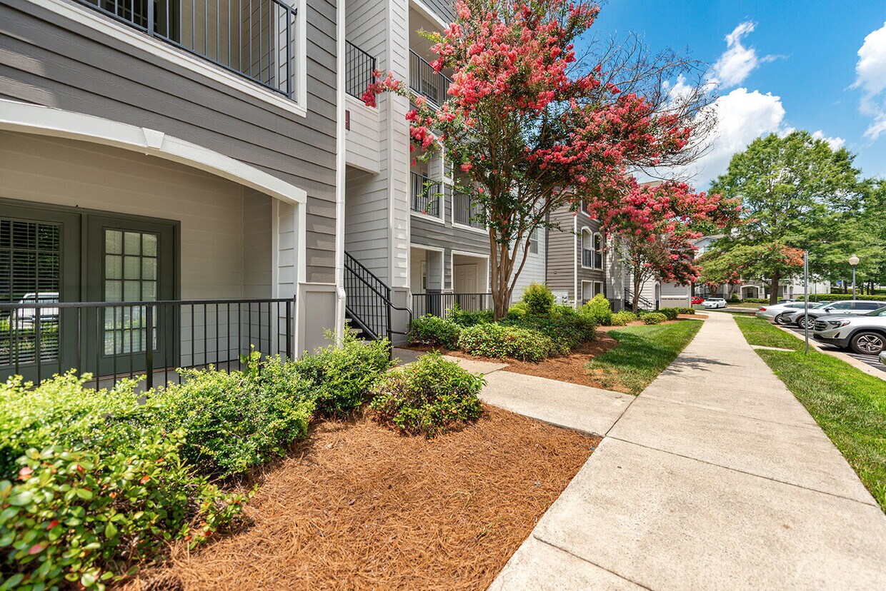 Person completing save on soothing defraud, disposal the maltreat to