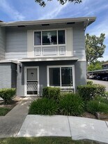 Building Photo - 4861 Saginaw Cir