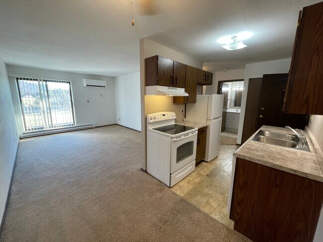 1 Bedroom Mini Split - River Bluff Apartment Homes