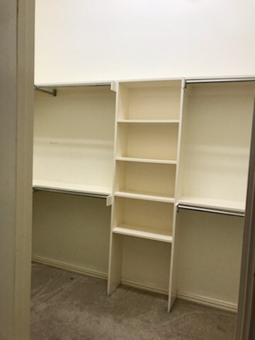 Building Photo - 3217 Pecan Meadow Dr