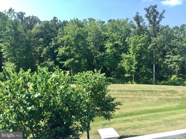 Building Photo - 12303 Greenbriar Branch Dr