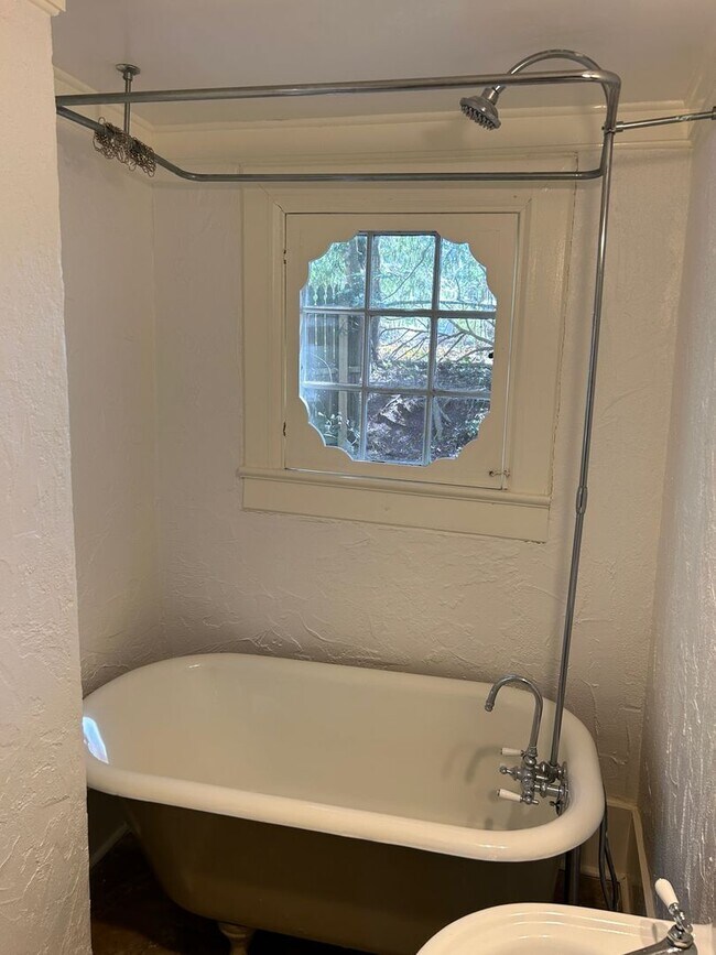 Building Photo - North AVL -  Renovated Arts & Crafts Cottage