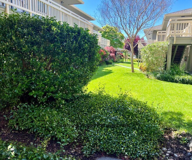 Building Photo - 720 Petaluma Blvd S