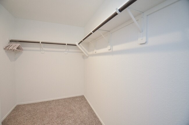 Building Photo - 11921 Summer Oak Trl