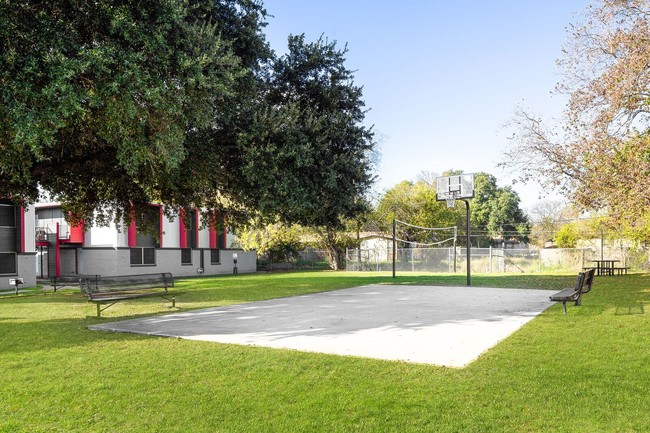 Building Photo - Presidio Flats