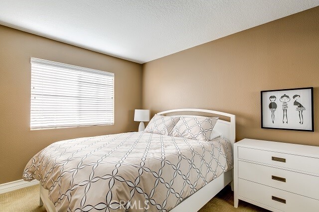 Building Photo - 2439 Paseo Circulo