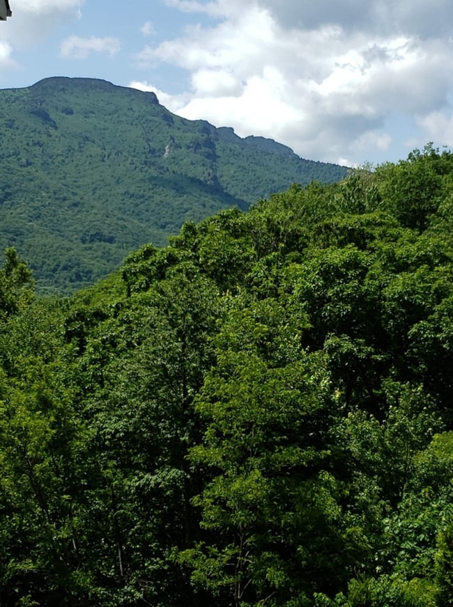 Building Photo - Live High Country. Live Elevated. Live Seven Devils.