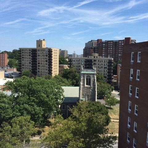 Balcony view to the East - 444 Bedford Street