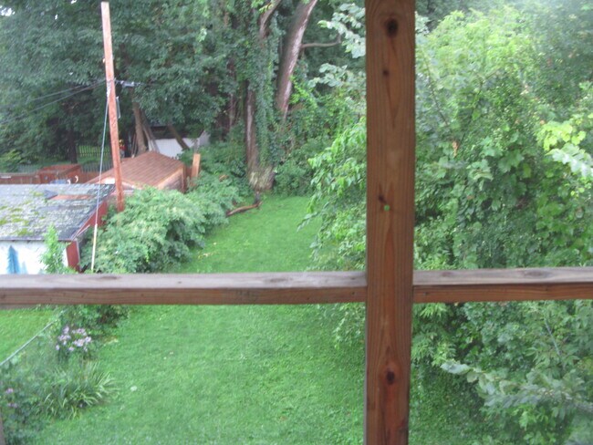back yard from deck - 890 Lancaster St