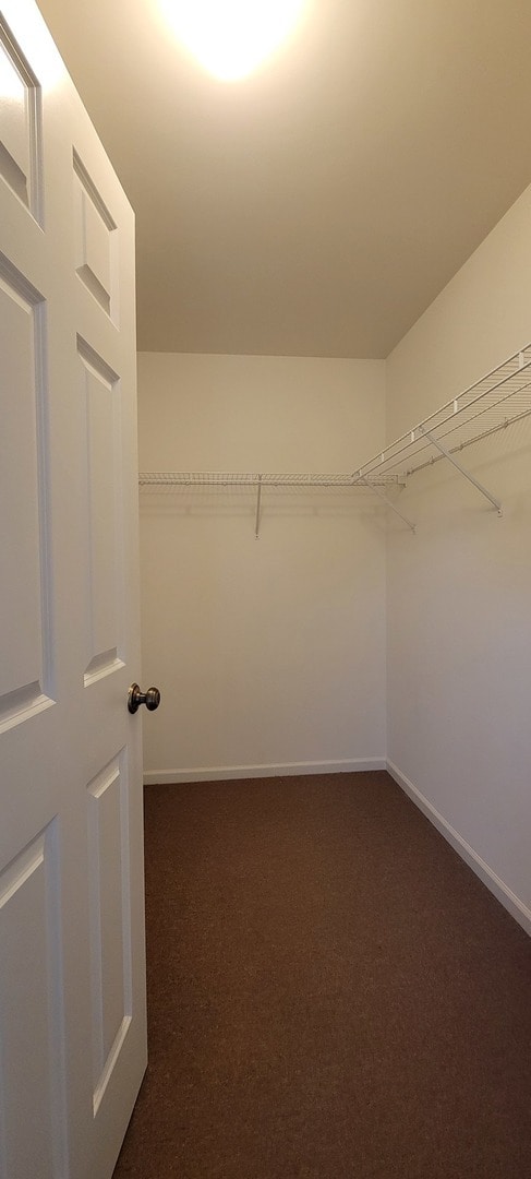 Building Photo - 2871 Vernal Ln