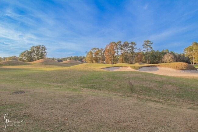 Building Photo - 1803 Wood Stork Dr