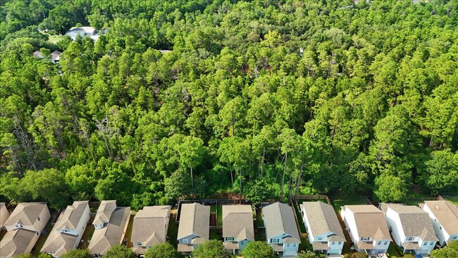 Building Photo - 3/2.5 Home in Santa Rosa Beach!