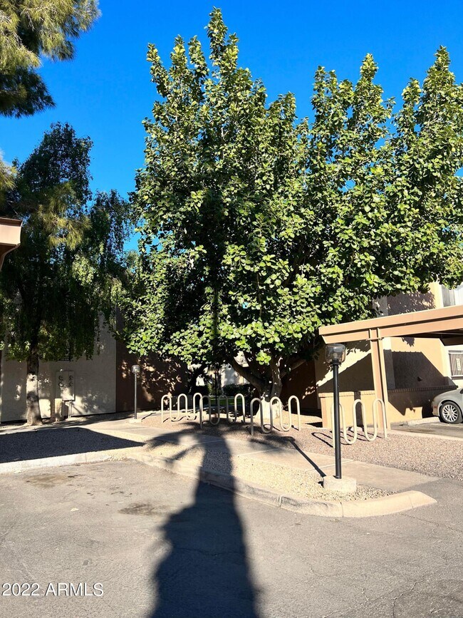 Building Photo - 1111 E University Dr