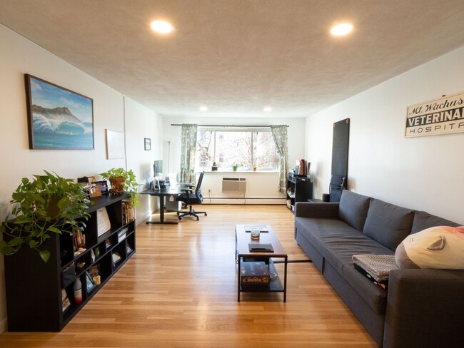 Primary Photo - Spacious, Bright, and Updated 1 Bed With P...