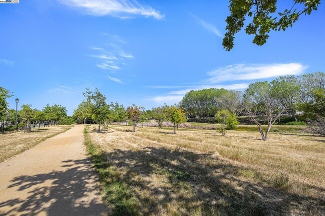 Building Photo - 463 W Felicidad Ave