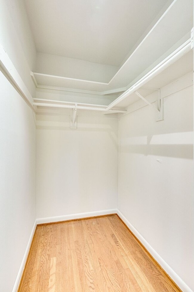 Building Photo - 4228 San Carlos Dr