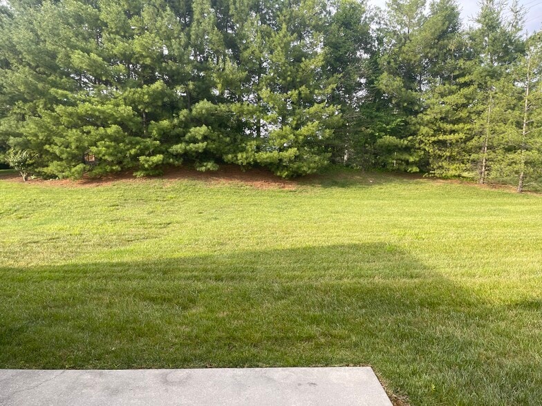 Backyard - 4505 Colonial Place Dr