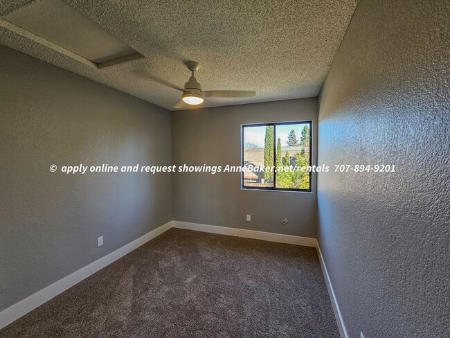 Building Photo - Newly Updated - New Appliances, Flooring, ...